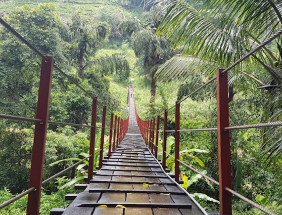 Kothmale Hanging Bridge