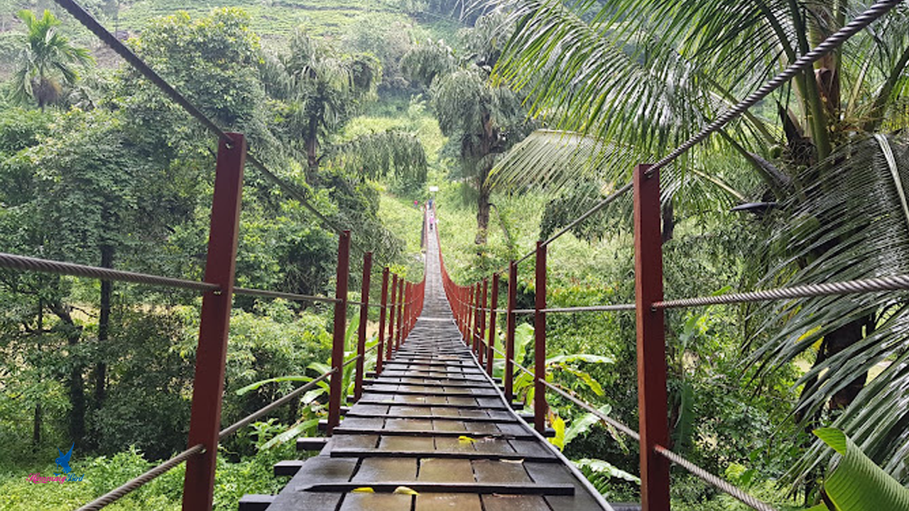 Kothmale Hanging Bridge